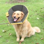 Soft Adjustable Protective Collar for Dogs & Cats - Image 5