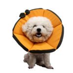 Soft Adjustable Protective Collar for Dogs & Cats